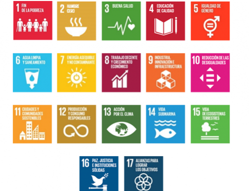 Impulso a los ODS desde la estrategia